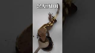 배고픔vs배부름, 온도차이 너무 심하잖아