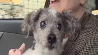 Frankie and Mom in car 2-11-2017