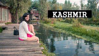 My Solo Trip to Srinagar - How to Spend Two Days in Kashmir | Best Places | House Boat