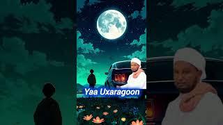 Yaa Uxaragoon #sheikhhusseinalijabuti https://youtu.be/ED9qExZ5_Ug?si=SFeFigYpIZ5EnOC3