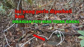 cara membuat jerat babi hutan,pakai tali sereset yang benar