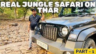 चित्रकूट में Ranipur Tiger Reserve जल्द होगा तैयार | Jungle Safari | Manikpur Jungle #chitrakoot