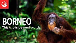 Discover Borneo with Intrepid Travel