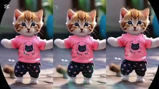 ️Funny Cat New Viral Dancing Videos #viralvideos #Catlovers #funnycat @furry-cornerz