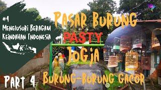 akhirnya review & tour pasar burung pasty jogja - bukan pasar burung pramuka - Part 4