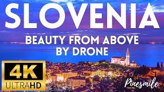 BEAUTY OF SLOVENIA - 4K Cinematic Drone Footage - 60FPS ULTRA HD HDR