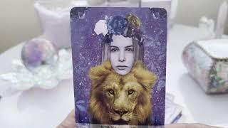 How Do They Feel? Timeless Tarot Reading  @auntyflo