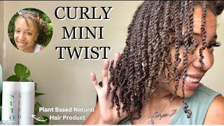 Juicy Curly MINI TWIST ON TYPE 4 NATURAL HAIR | FT. SUTOL HAIR CARE