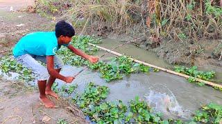 Hook Fishing - Traditional Hook Fishing - MR Fishing Life (Part-383)