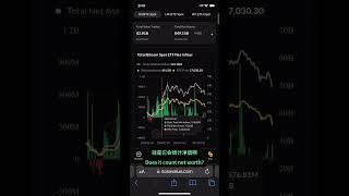 如何查看比特币现货ETF数据？净流入还是净流出？