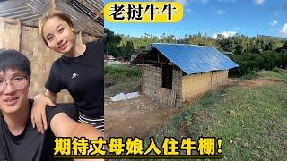 【老挝牛牛】5.19日直播：期待丈母娘入住牛棚！