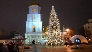В Киеве протестировали главную елку
