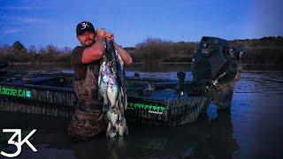 Wading For Mississippi Crappie  |  Filling The Stringer