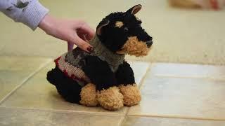 Upcycled Pet Sweater