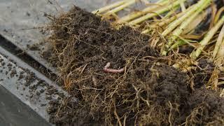 Humic | TopKrop Fertilizers