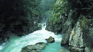 Thắng cảnh thiên nhiên I Thác suối rừng forest waterfall