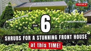 TOP 6 SHRUBS for a STUNNING FRONT YARD at this TIME!  // Gardening Ideas