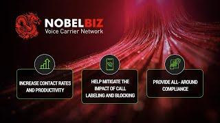 NobelBiz Voice Carrier - Infrastructure Walkthrough