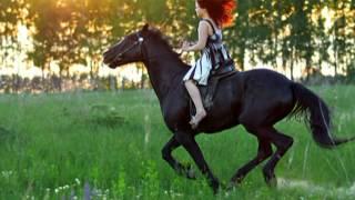 Pelagia and Daria Moroz "Horse"/ Пелагея и Дарья Мороз "Конь"