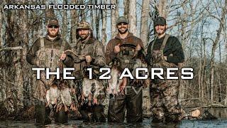 ARKANSAS FLOODED TIMBER!! (WE DIDN'T EXPECT THIS ONE) K ZONE TV: "THE 12 ACRES"