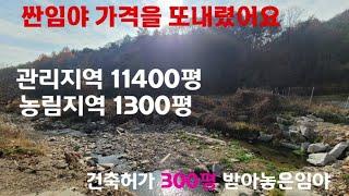싼땅 땅큰임야/양평토지급매물/양평임야/양평토지급매/양평전원주택급매물/양평전원주택매매/양평전원주택/양평싼땅/
