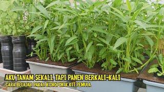 Cara Menanam Sekali Untuk Panen Berkali-kali Hidroponik Pemula Starter Kit