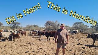 Oppie Plaas  - Wat nou?  Namibia 2024 The Farm 2