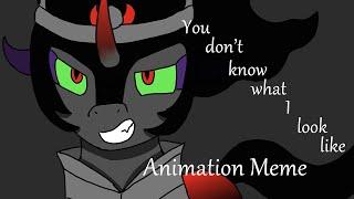 You Don't Know What I Look Like | Animation Meme-ish