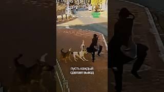 Момент, который говорит без слов…