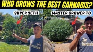 Best Organic Cannabis Growing Tips : Hippie vs Master Grower?