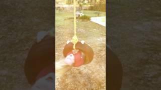 Emma Grace vs  Tire Swing