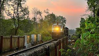 Teak, Trees and Trains: An Epic Journey Through Nilambur's Natural Beauty | Shoranur - Nilambur Line