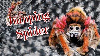 REALISTIC JUMPING SPIDER || Posable ArtDoll Tutorial