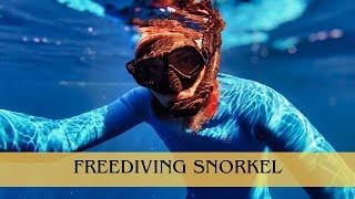 Why Freedivers Use a Snorkel | ALCHEMY SNORKEL REVIEW