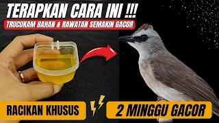 LAKUKAN DENGAN KONSISTEN DAN LIHAT HASILNYAPERAWATAN KHUSUS TRUCUKAN AGAR CEPAT GACOR