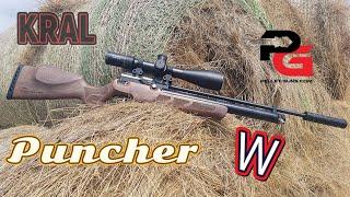 Kral Puncher W - Walnut