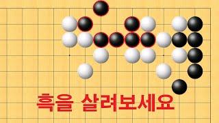 바둑 묘수 사활 - 기상천외 묘수로 흑을 살려보세요