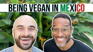 MERIDA TRAVEL GUIDE 2022 [Best Vegan Spots in Merida, Mexico]