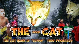 THE GOOD CAT |Troy Francisco