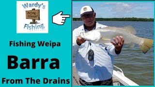 FISHING WEIPA. Barra From the Drains