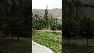 explore Nagar valley Pakistan #nagar #nagarvalley #pakistan #travel #shorts #short #viralshort