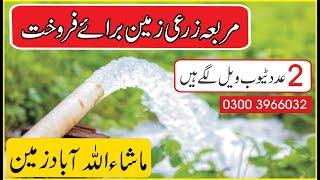 Cheapland for sale | Agriculture land for sale | 0300 3966032 |cheap land for sale | zameen for sale