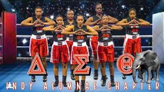 Delta Sigma Theta  | Indy Alumnae Chapter | '22 Circle City Classic Greek Stepshow