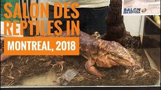 Salon Des Reptiles in Montreal, 2018