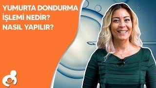 Yumurta Dondurma İşlemi Nedir? Nasıl Yapılır?