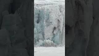 Glacier COLLAPSES Behind Polar Bears!