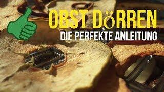 ► Obst dörren/trocknen: Die perfekte Anleitung für getrocknete Apfelringe