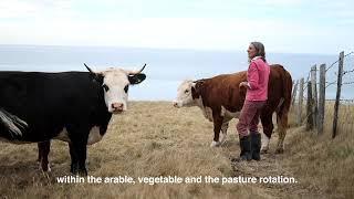 Nantclyd Farm, West Wales - part of the Biodynamic Association's 4-farm case study.