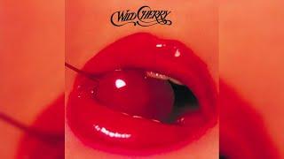 Wild Cherry - Play That Funky Music