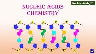 1: Nucleic Acids Chemistry | Molecular Biology | Biochemistry | N'JOY Biochemistry